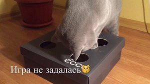 Игрушка для кота своими руками / British Cat/ Британский кот
