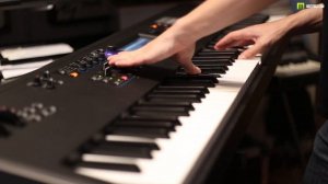 Yamaha MODX-8 Organ Kamil Barański demo By Muzykuj