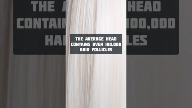 DID YOU KNOW THESE HAIR FACTS?