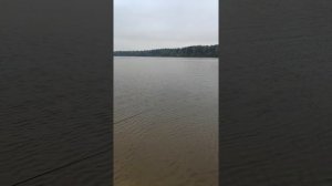 Уклейка на можайске на 9 мая. Бешшшенный клев