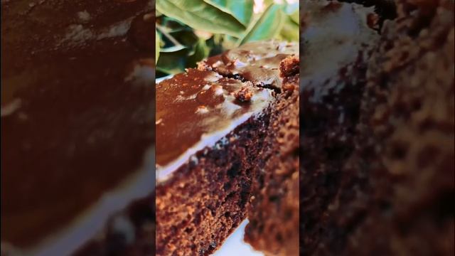 Пышный Шоколадный Брауни?С каждым разом влюбляюсь в него ещё больше.Рецепт на канале или в описании