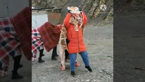 Надюшин день рождения Поздравление в китайском стиле