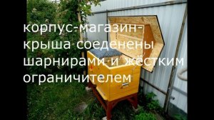 МЕДОВИК ВОРОНЕЖСКИЙ-ТЕХНОЛОГИЧНЫЙ УЛЕЙ-ЛЕЖАК