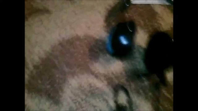 Unboxing [ Slusalice Craft ] смотреть онлайн