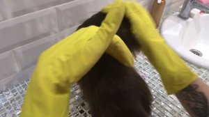 Как обработать собаку от клещей? Капли Стронгхолд.