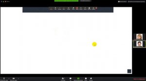 Возможности Zoom для онлайн уроков (для учеников)