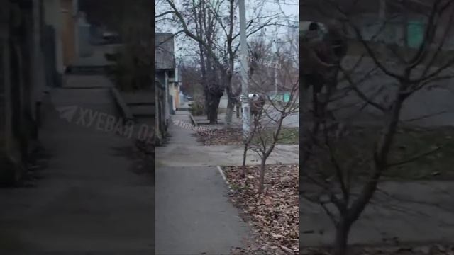 Измаил, Одесская область.