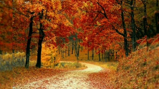 #народныеприметы #приметыисуеверия Приметы на 23 сентября #23сентября