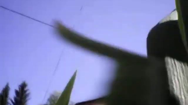 Запись с камеры квадрокоптера Syma X5SW смотреть онлайн