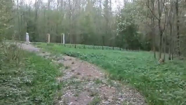 Голубая дача смотреть онлайн