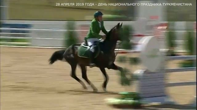 Туркменские скакуны -  гордость Туркменистана