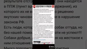 repost#tiktok Якутия спасение животных