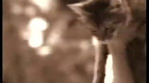 Гарик Сукачев   За окошком месяц май