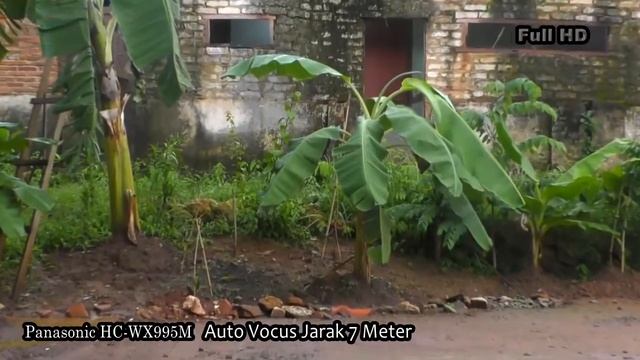 tes Video panasonic HC-WX995M