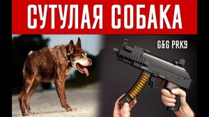 СУТУЛАЯ СОБАКА - ОГРЫЗОК КАЛАША G&G PRK9 AEG  ДЛЯ СТРАЙКБОЛА \\ AIRSOFT REVIEW