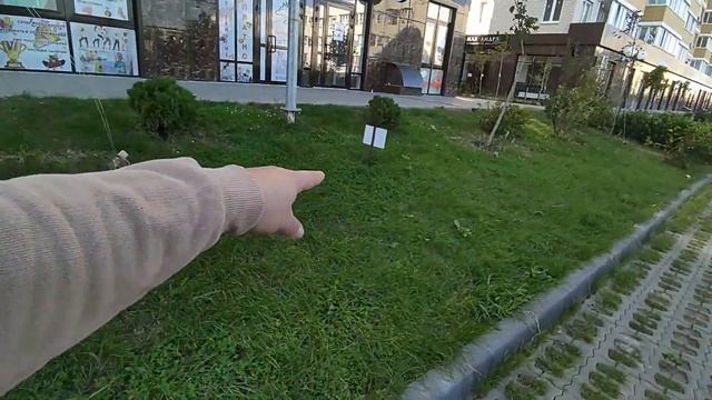 Экопарковки Краснодара: как можно загубить отличную идею смотреть онлайн