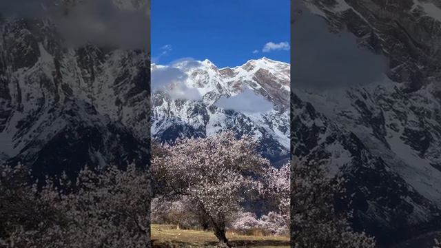 Nanga Bawa Peak,Tibet, China