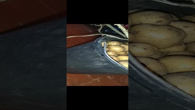 ведро картохи