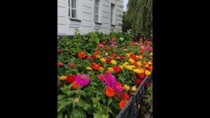 Казань Раифа.mp4