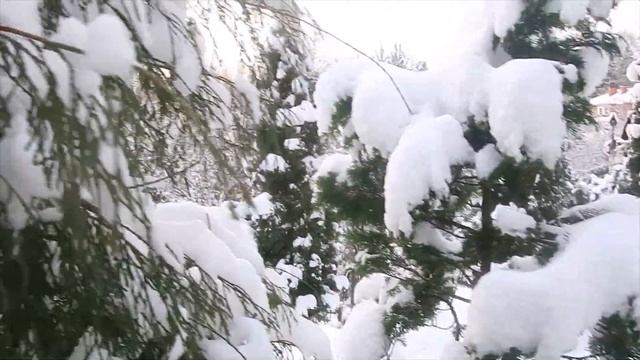 ЗИМНИЙ САД-ПРОГУЛКА-РЕЛАКС\ФЕВРАЛЬ-2023\ смотреть онлайн