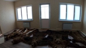Мастер по выделке медвежьих шкур и меха.