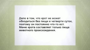 Крот в саду, польза и вред