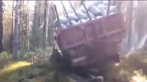 Заготовка кедрового ореха  Добыча и переработка кедровой шишки  Месяц в сибирской тайге!