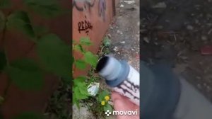 ОБЗОР НА СКВИЗЕР 214 ЗАПРАВА ТЕГИ И ГРАФФИТИ 2022 ГОД