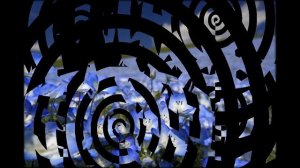 Вероника цветы