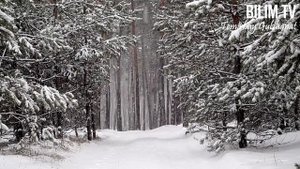 МАҚАЛ-МӘТЕЛДЕР ЖИНАҒЫ/НАҚЫЛ СӨЗДЕР/ҚАЗАҚ ХАЛҚЫНЫҢ ДАНАЛЫҒЫ//