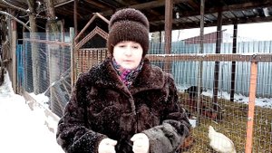 Почему куры несушки перестали нестись. Причины найдены - решение тоже.