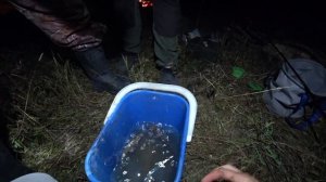 НАЛИМ! ЩУКА! ЯЗЬ! рыбалка осенью с ночевкой на реке Чулым