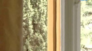 Художник Артём Пучков.