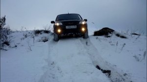 Моя нивка