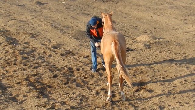 Капюшон смотреть онлайн