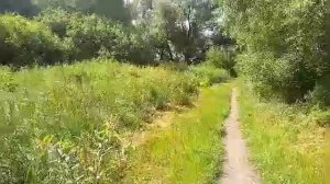 КЛЕТНЯ. Секретный объект???Погрузка леса. Был завод а теперь джунгли.