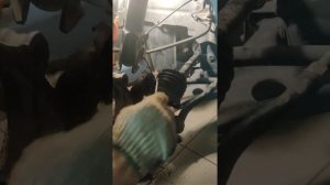 замена пыльника без снятия привода( часть первая)