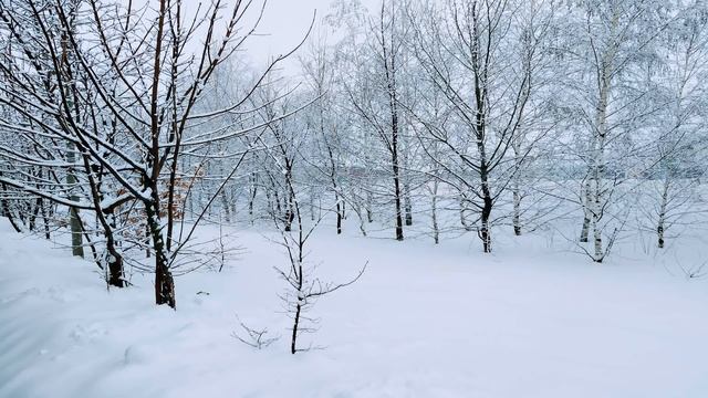 Встаньте ПОРАНЬШЕ 16 февраля.СЕМЁНОВ ДЕНЬ.ПРИМЕТЫ.Что НЕЛЬЗЯ делать. смотреть онлайн