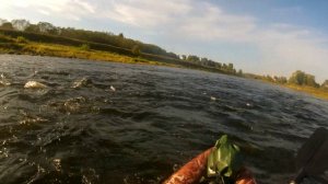 Мста_14_15сент_2024