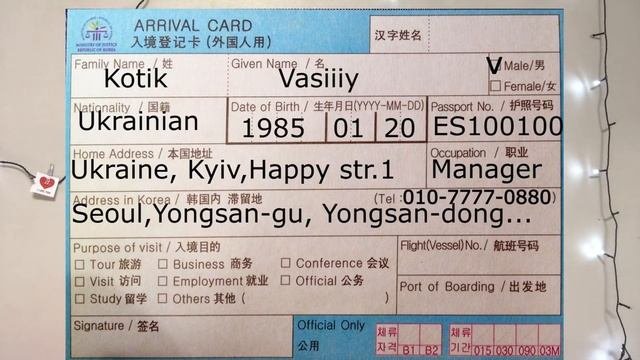Как получить визу и пройти таможню в Корее? Как заполнить Arrival Card и таможенную декларацию