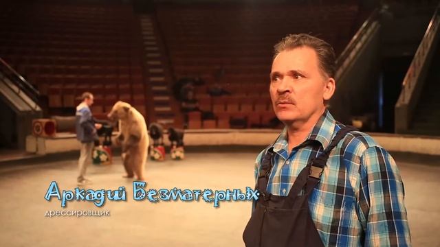 Анастасия Логинова  Цирковые интересности  Выпуск 3. НН