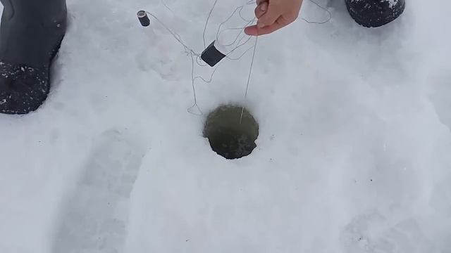 Лещ в косынки! Весенний лещ! Весенняя рыбалка 2021! смотреть онлайн