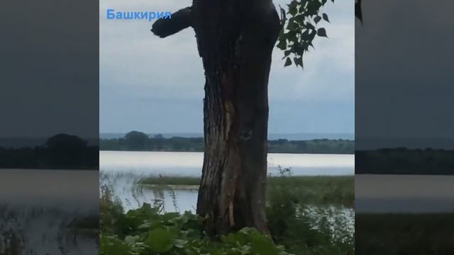 Озёра Башкирии смотреть онлайн