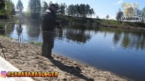 Блогер рыбалка в КЛИНСКОМ рыбхозе во Владимировке Сушков там был и рыбу ловил от #ZaRaBaRaHOROSHO