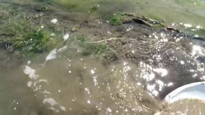 Простая хитрость! Используем обычный картон для добычи золота