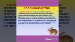 Технология 6 класс