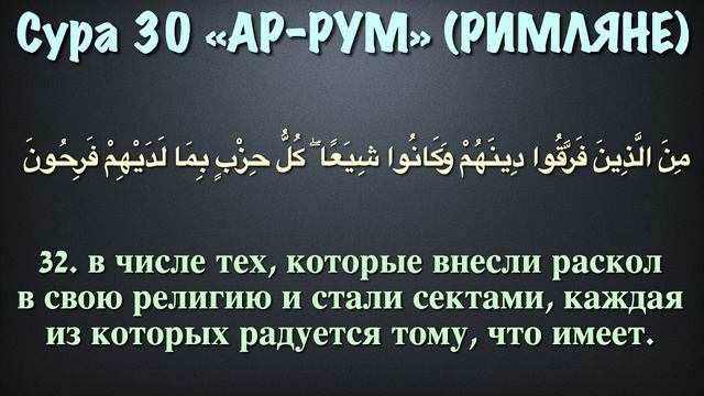 Сура 30 - ар Рум (арабские и русские титры) Мухаммад Люхайдан