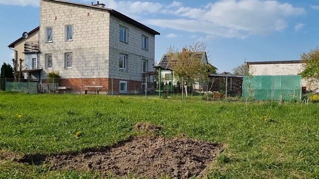 Быстрый ремонт теплицы #огород # теплица #польша
