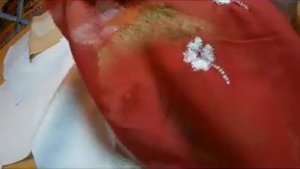 Вышивка, нашивки  Janome Memory Craft 350E