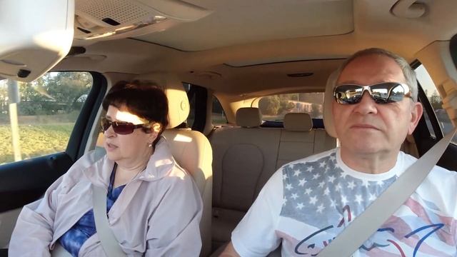 Калифорнийские бизоны никого не затопчут, покидая Золотой Штат смотреть онлайн